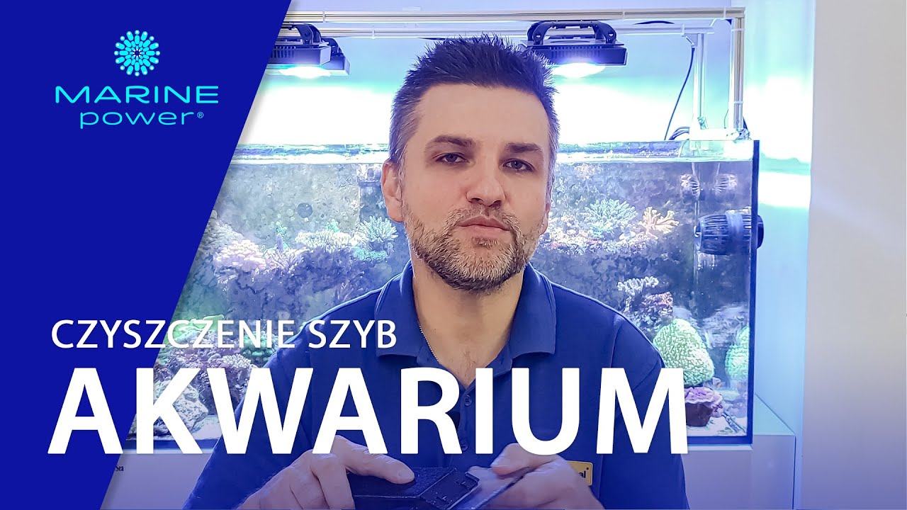 Jak czyścić akwarium?