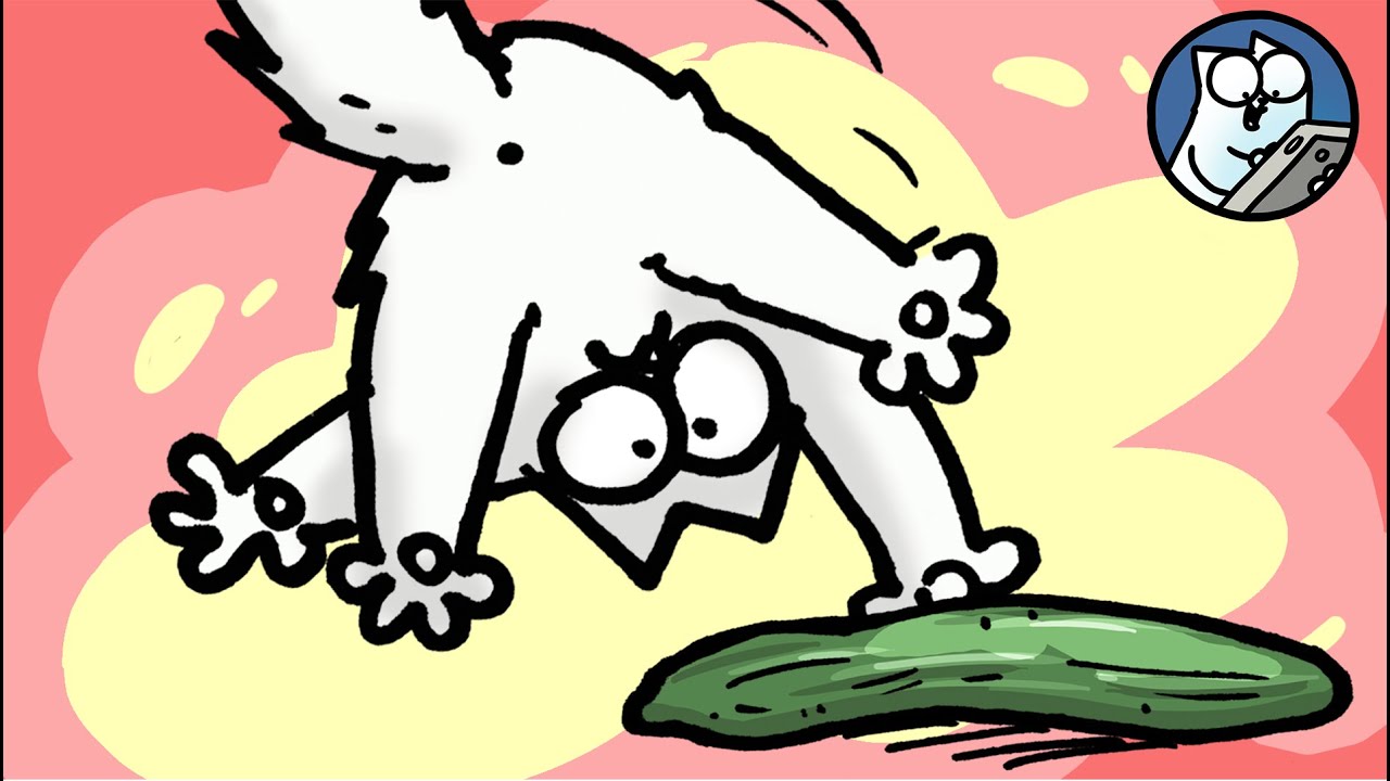 Why is my cat doing that? | Simon's Cat Extra