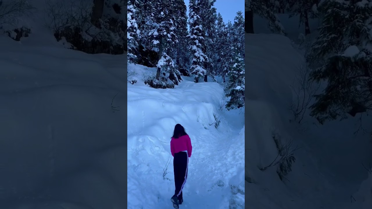 Shimla snowfall January ❤️ #travelvlog #travelshorts #snowfall #snow #shimla