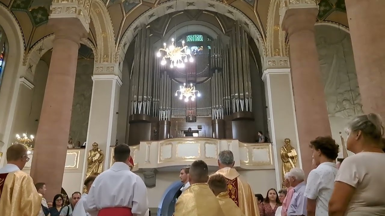 Dialog bp. Andrzeja Jeża z limanowskimi organami