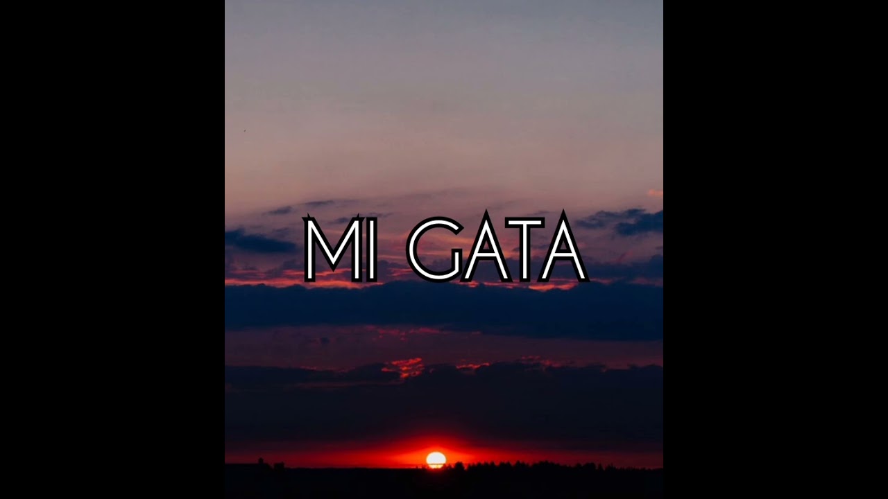 Mi Gata