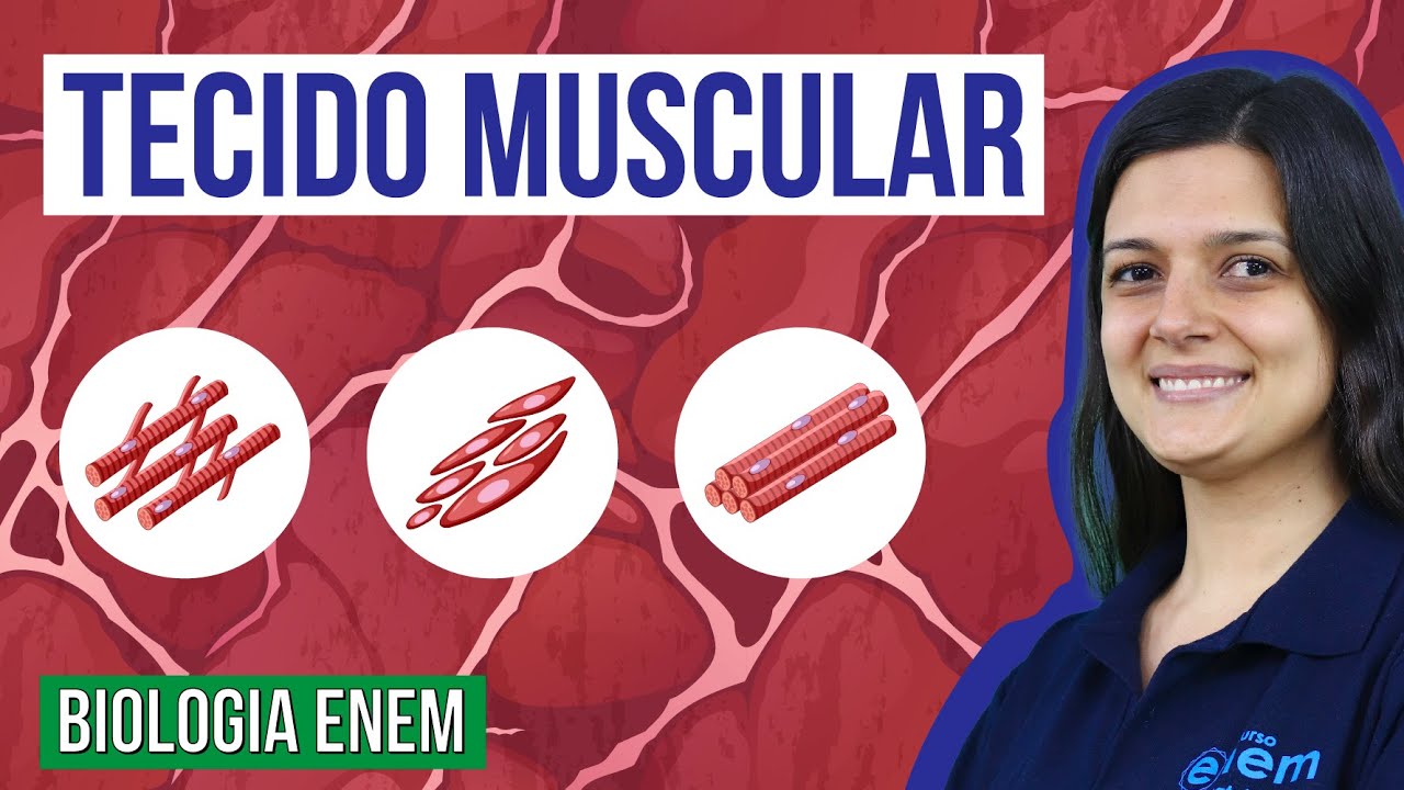 TECIDO MUSCULAR: Tipos, características e funções | Resumo de Biologia para o Enem