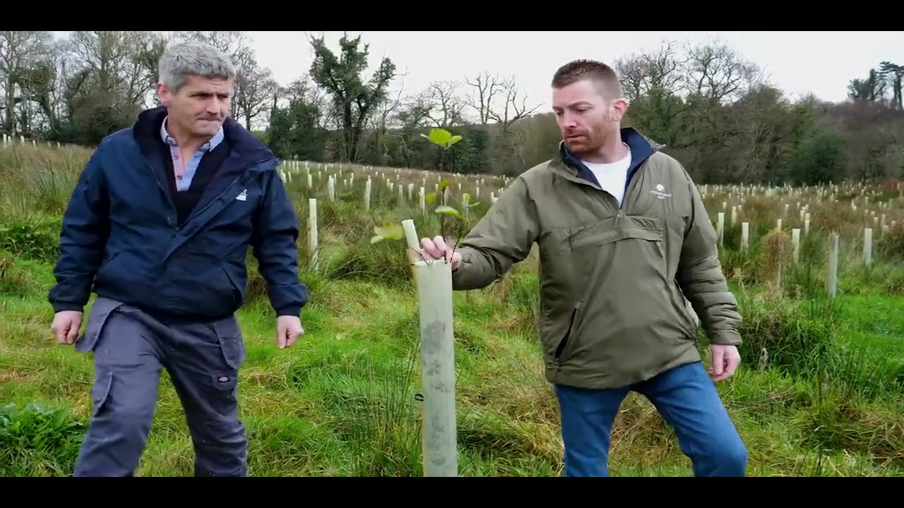 Loughs Agency TREES project
