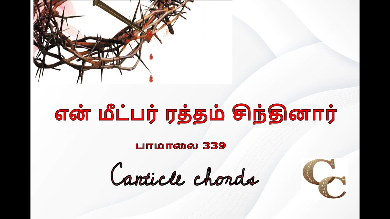 நான் நிற்கும் பாறை கிறிஸ்துதான் -என் மீட்பர் ரத்தம் சிந்தினார்    - CANTICLE  CHORDS