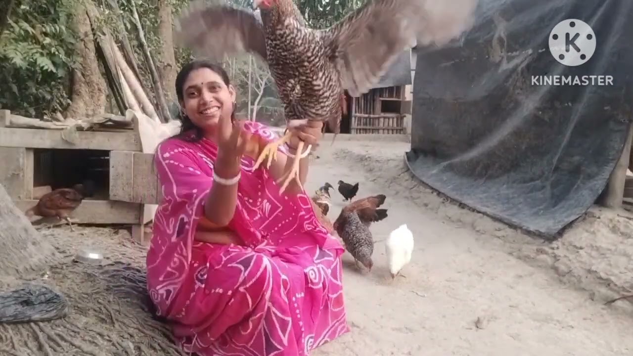 🐓🐔😄হাঁস-মুরগির কোথাও কেটে গেলে ক্ষত জায়গায় কি দিলে তাড়াতাড়ি ভালো হয়ে যায় 🐓👈#viralvideo #🐓