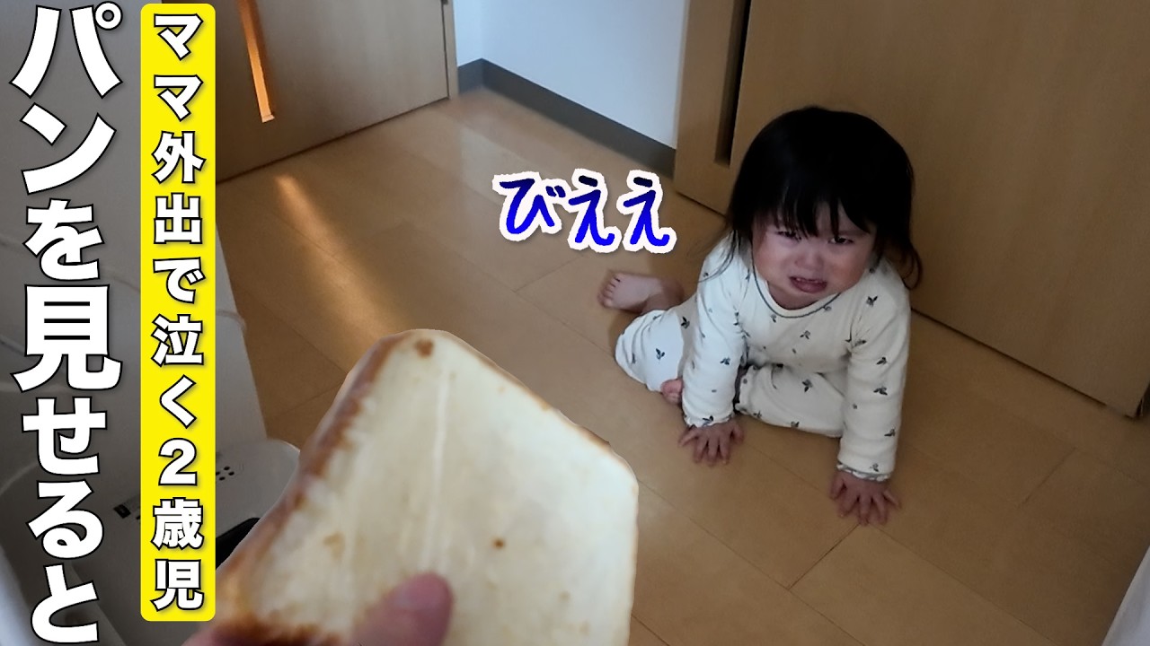 ママがいなくて号泣する2歳児と柴犬にパンを見せるとこうなりました笑