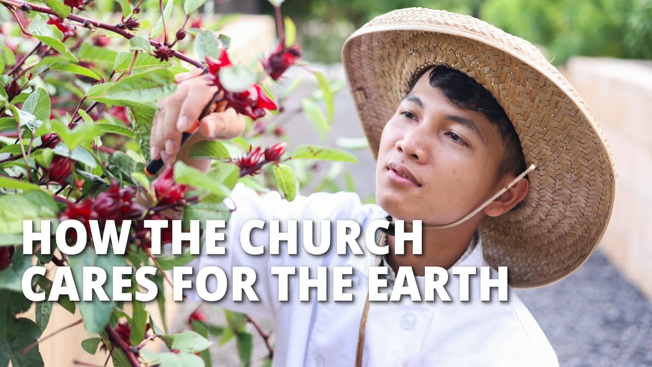 How the Church Cares for the Earth