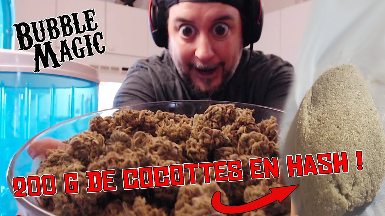 COMMENT FAIRE DU HASH avec 200g de PURE BUDS DE CANNABIS!! Bubble Magic XXXtractor Hashish bag tuto