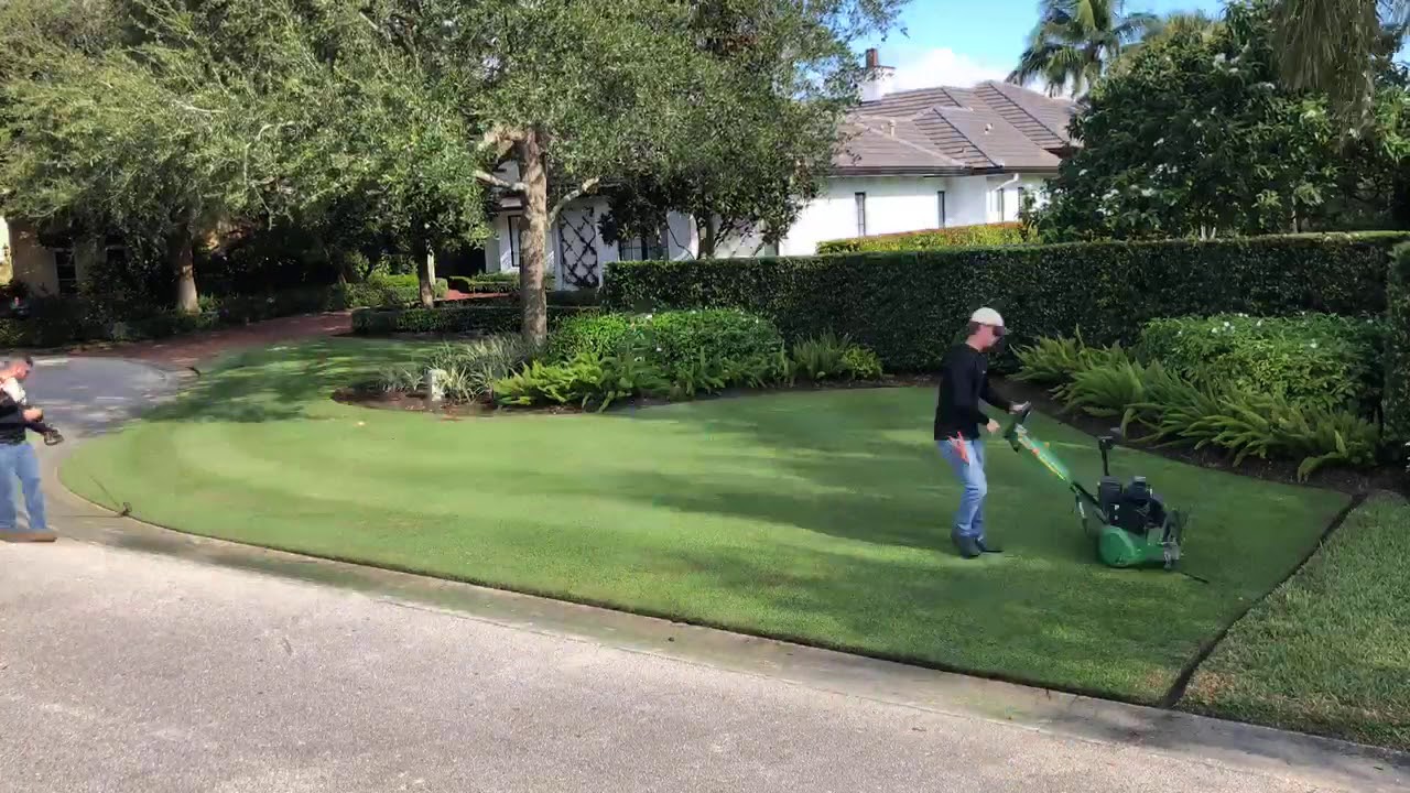 Empire Zoysia UPDATE