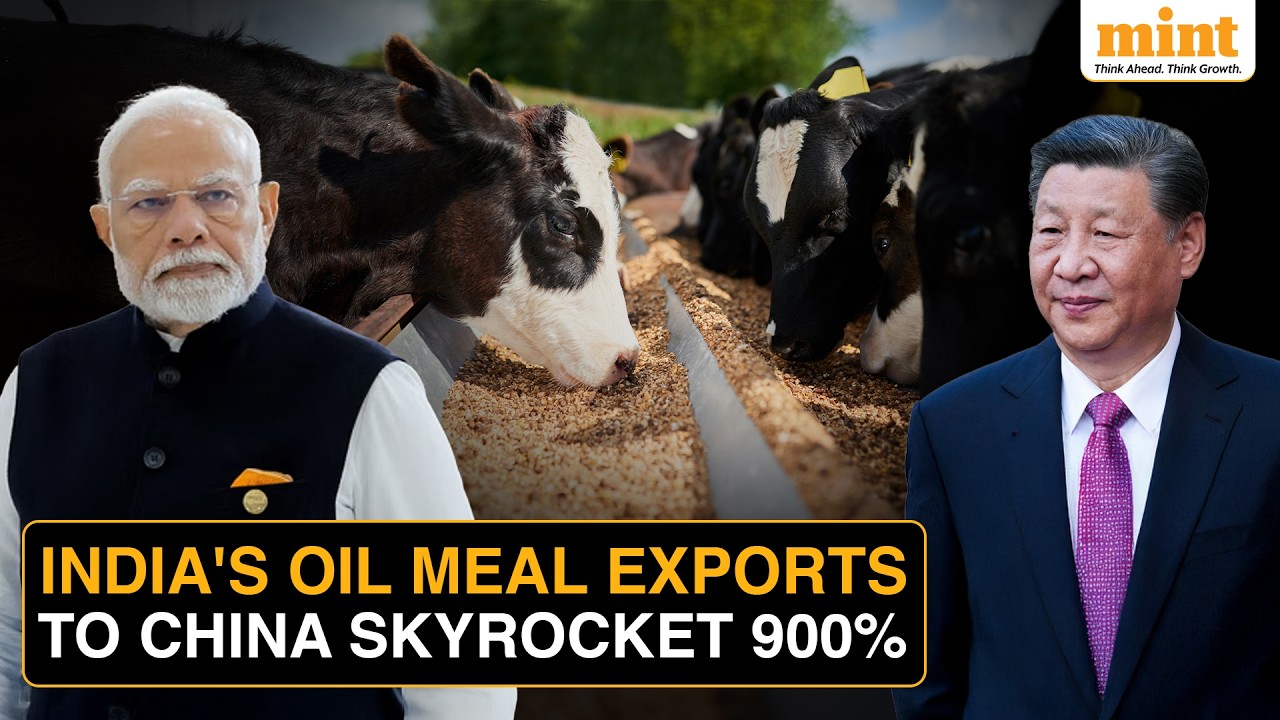 India's $157 Million Export Boom To China: How One Commodity Became A Fast-Growing Trade Link