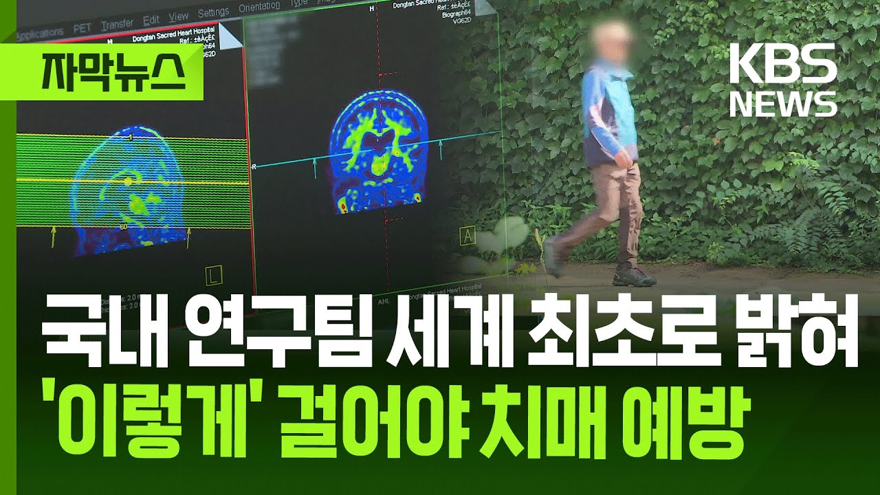 [자막뉴스] 