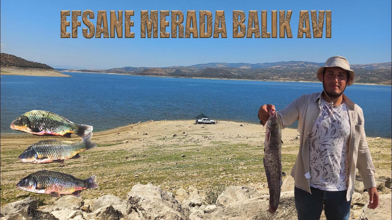 EFSANE MERADA BALIK AVI! YAKALA BIRAK!!! #sazanavı #nature #fishing #fish #sunset #carpfishing #olta