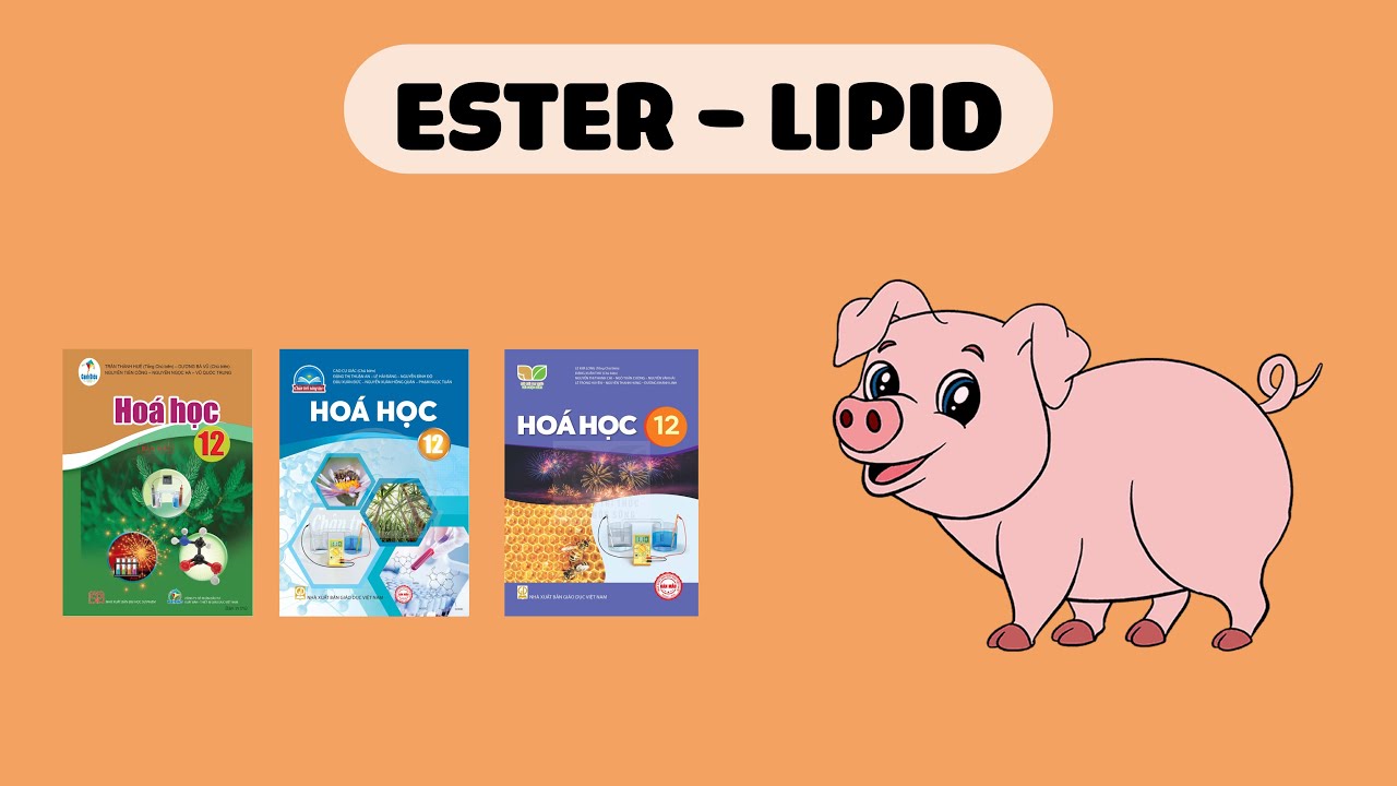 [H&Oacute;A 12] ESTER - LIPID (S&aacute;ch C&aacute;nh Diều, Kết Nối Tri Thức, Ch&acirc;n Trời S&aacute;ng Tạo)