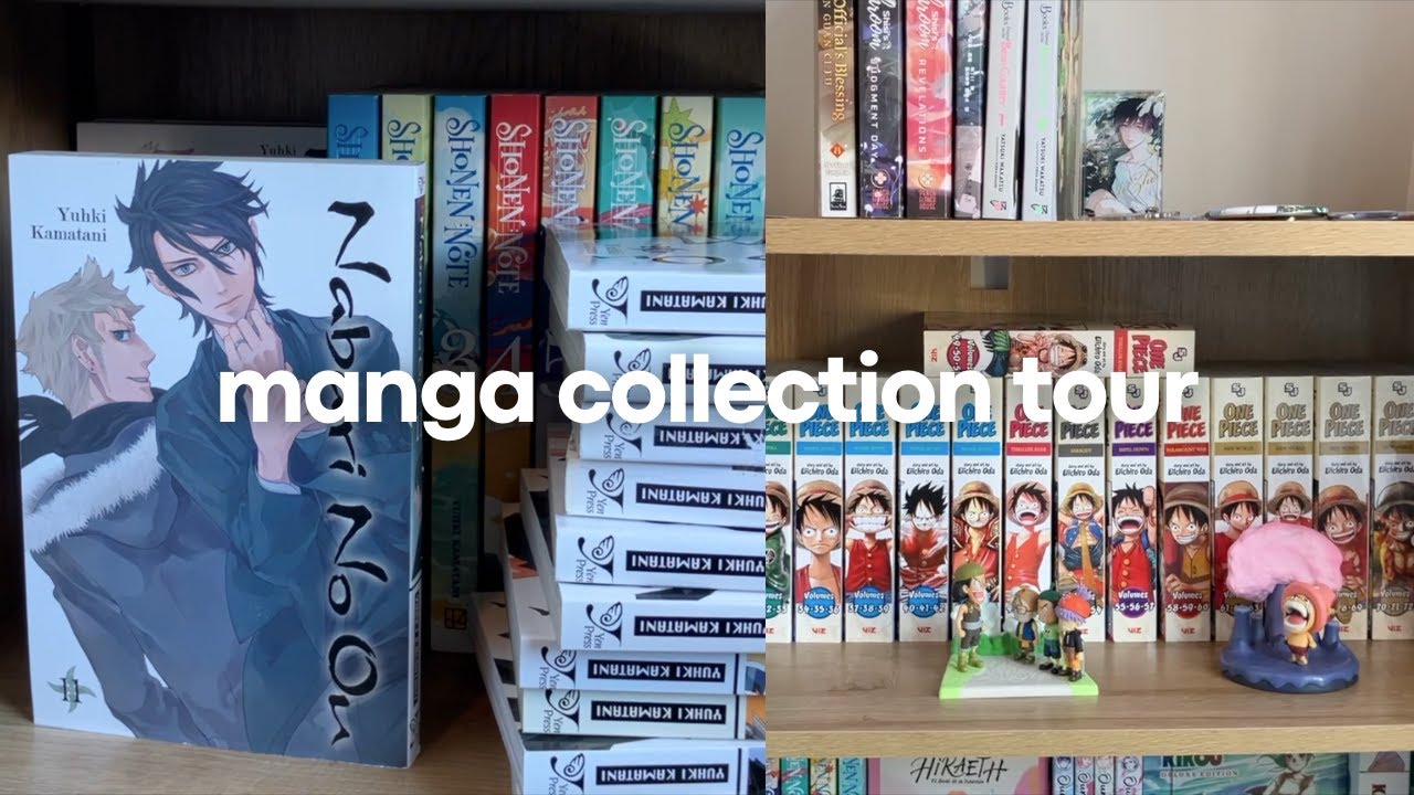 chatty manga collection tour | 290+ volumes