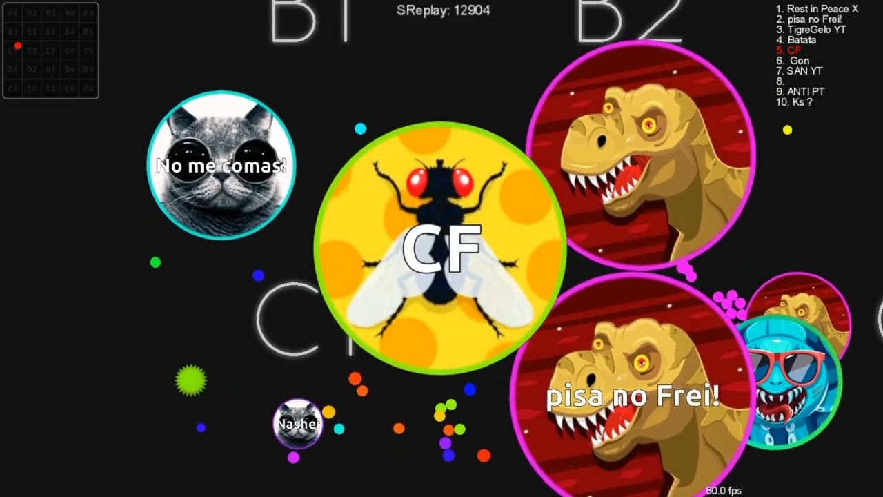 Buenos Clips en Crazy blob.io💥