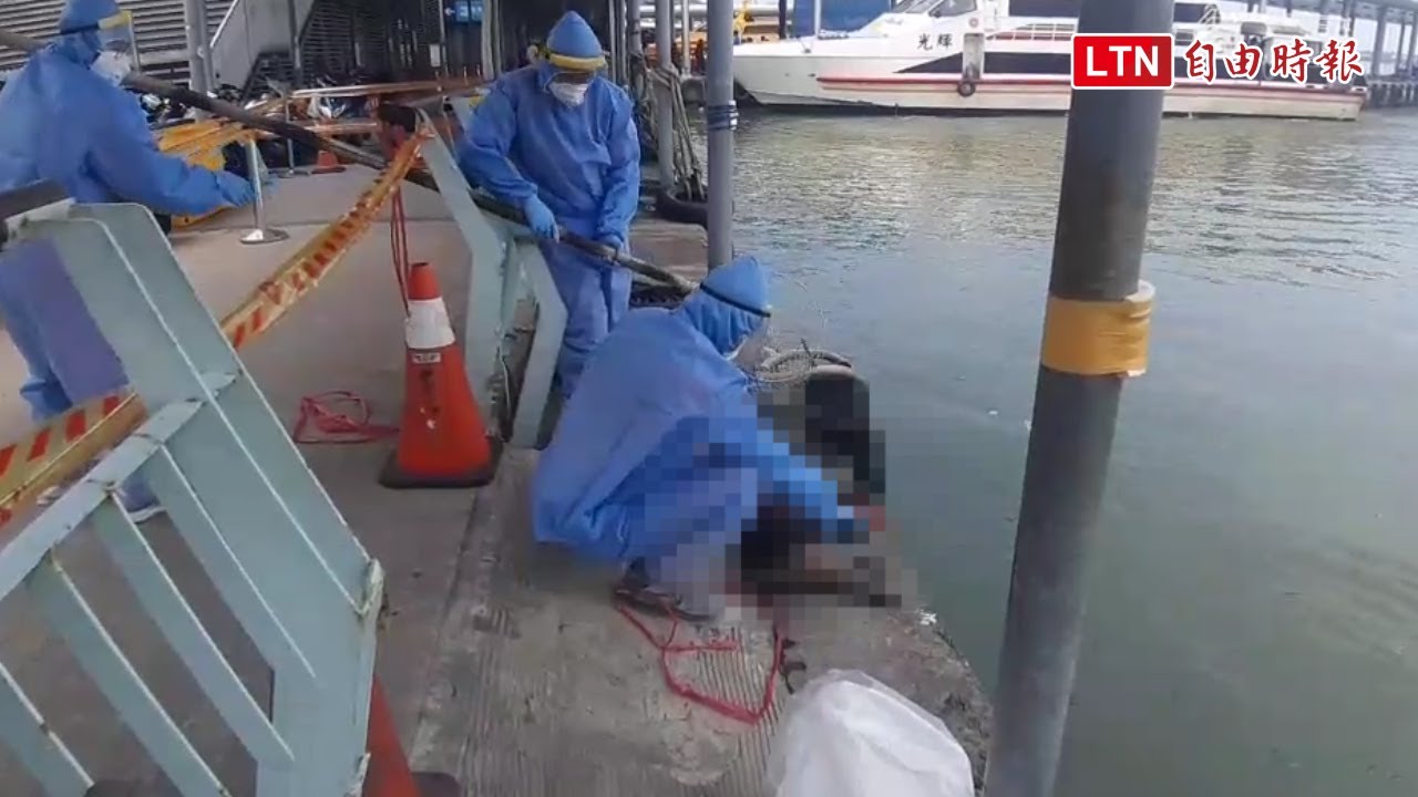 東港客船碼頭嚇見豬屍 海巡打撈送驗(海巡署提供)