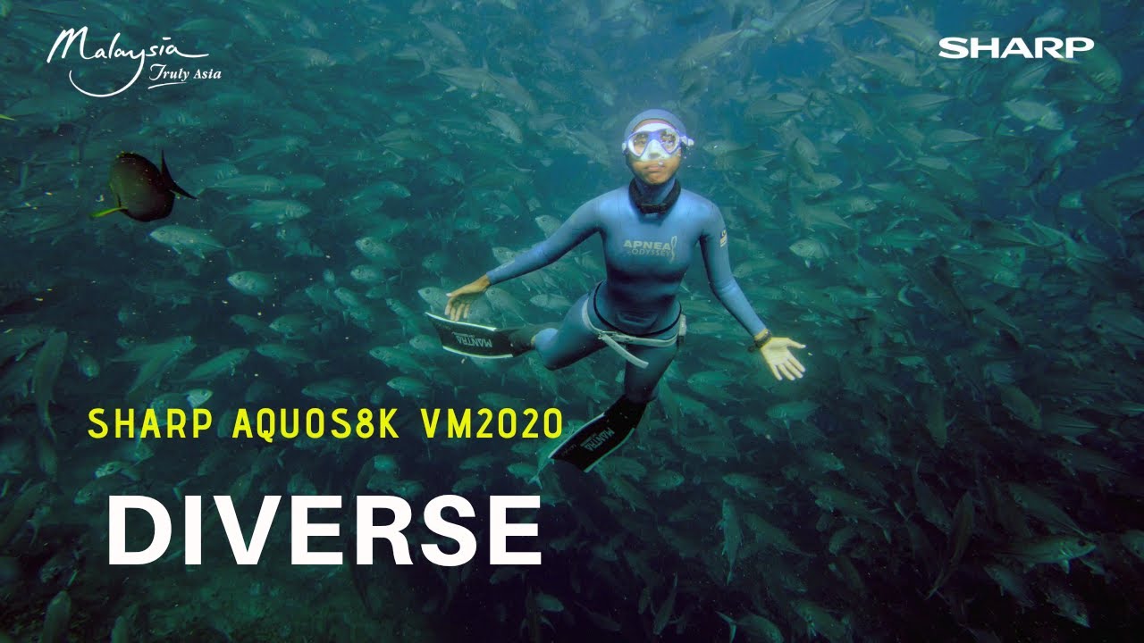 Sharp AQUOS 8K VM2020 Video : "DIVERSE”