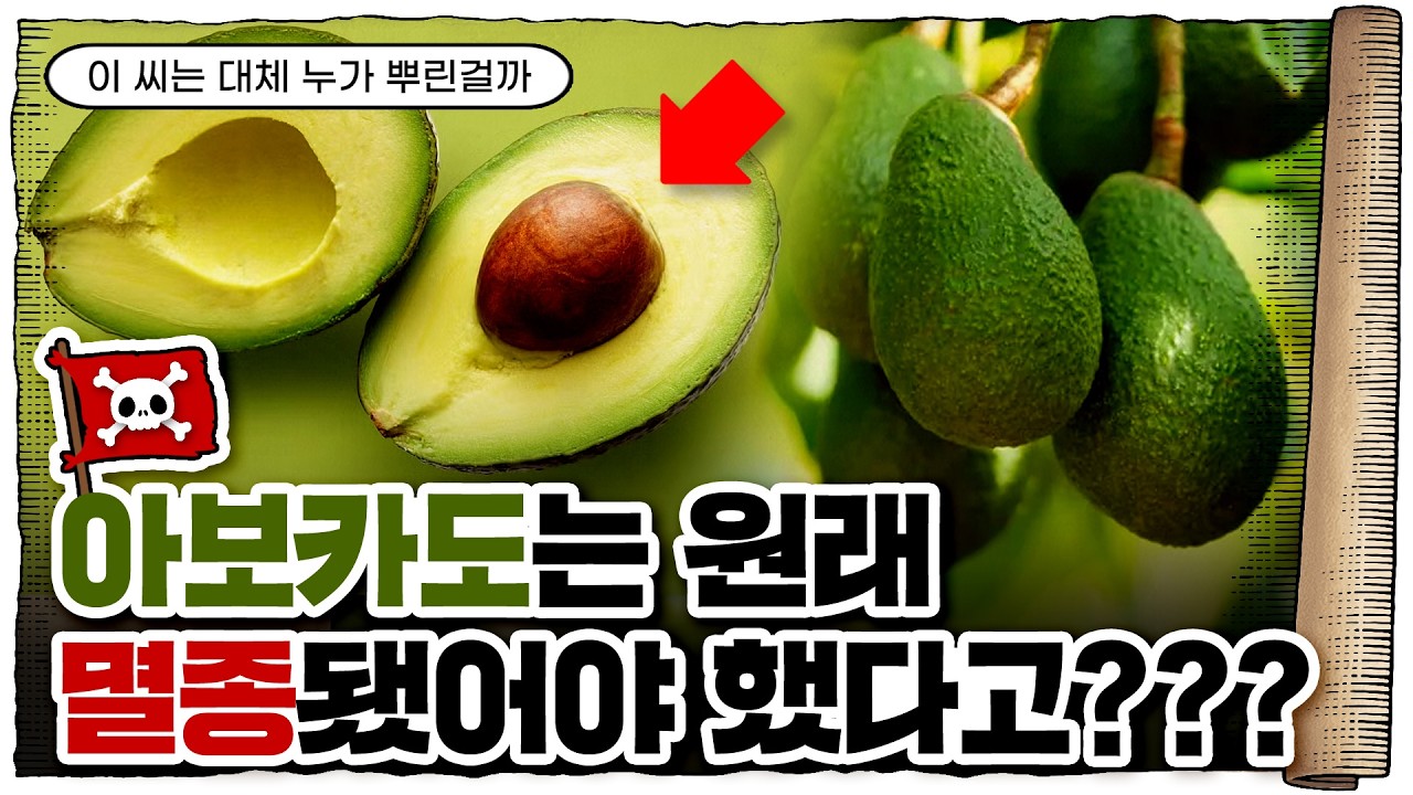 💀 진짜 이상한 과일 / 💀 아보카도🥑의 간략한 역사
