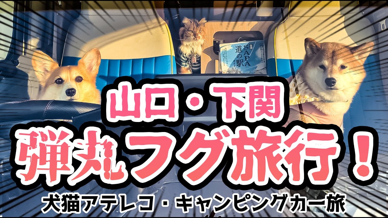 【こんなはずではなかった】キャンピングカー山口県ヤケクソ旅行