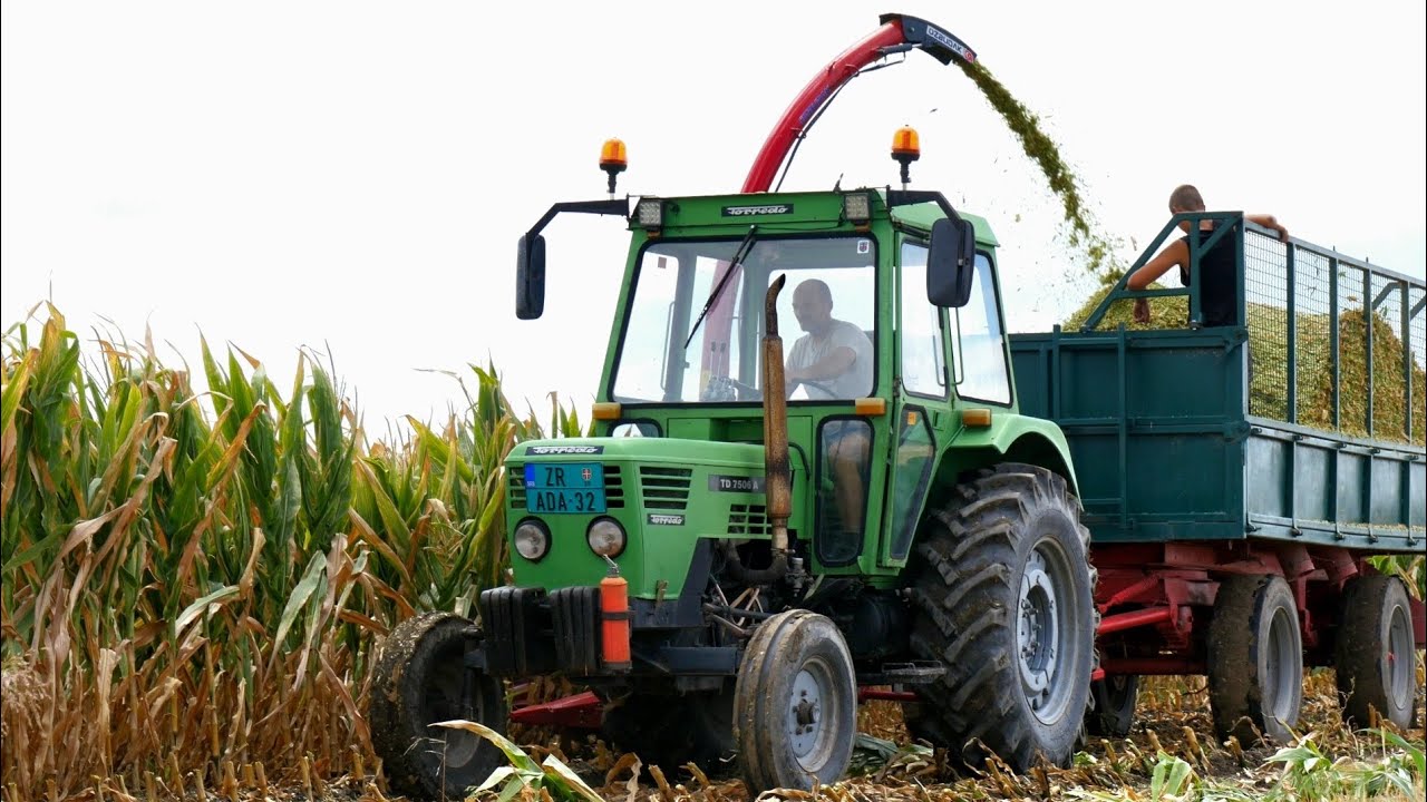 Farma Kanas silózás/silaža 2025 || Torpedo 7506 , Belarus 82.1 , McCormick t115 , Őzbudak ||