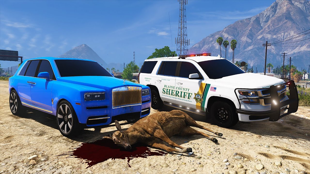 A LOVIT UN ANIMAL SI A SUNAT LA POLITIE! *SERIF OVITZANU*