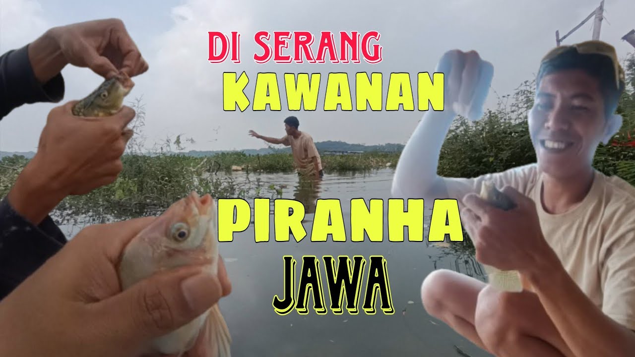 Fishing adventure | @JamaliFishingCianjur episode3 di serang kawanan Piranha Jawa 