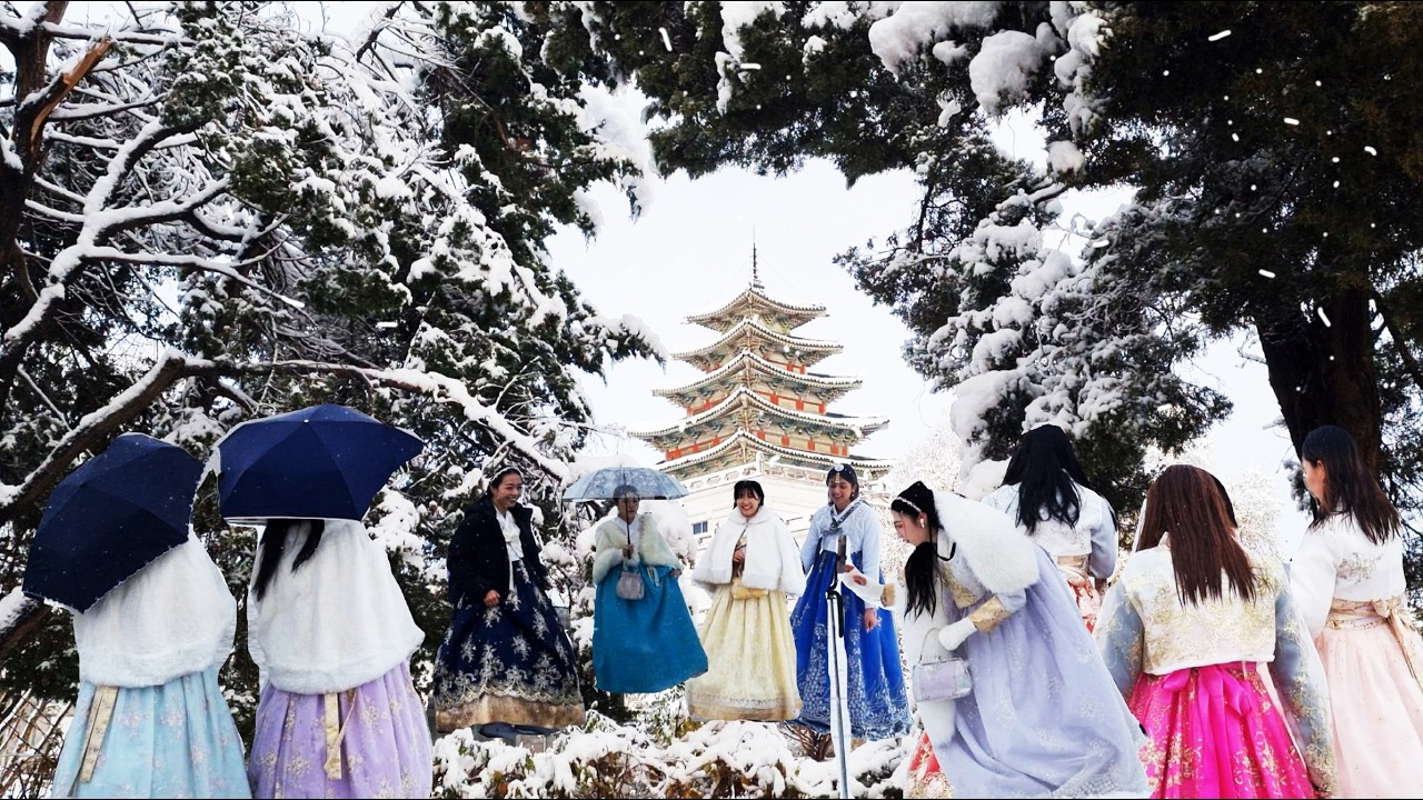 역대급 첫눈,한국의 겨울왕국, 눈을 처음 보는 외국인관광객들의 즐거워하는 모습들,서울에서 볼수있는 최고의 설경2024 