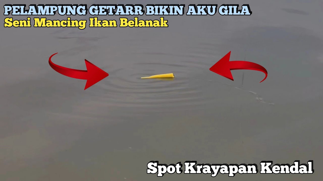 Geter langsung Sikat !! Dari Awal Sampai Akhir Full Geter || Mancing Ikan Belanak