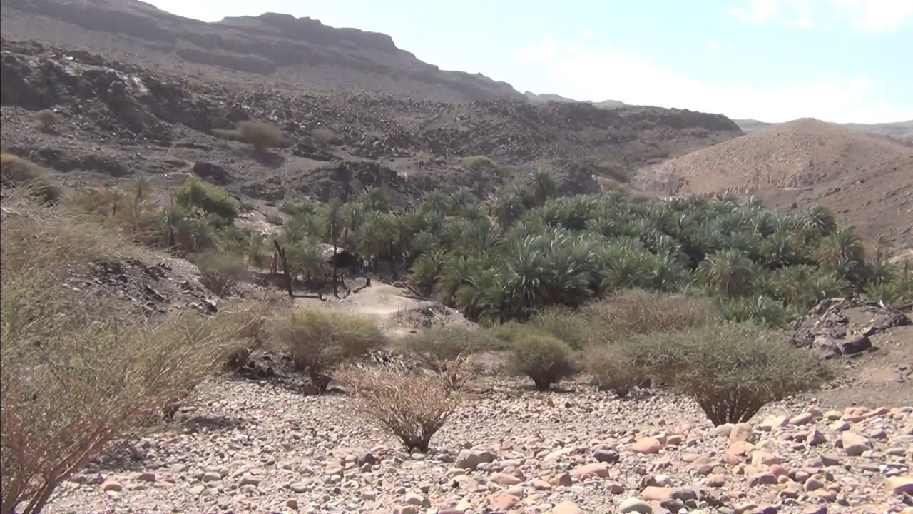 تيدد..اللحن..الصلصلة..الثمد..رحلةالشمال لعام1443/7/1..2022/2/2.. ج2 ..تصوير وتعليق أ/خالدبن يحي لال