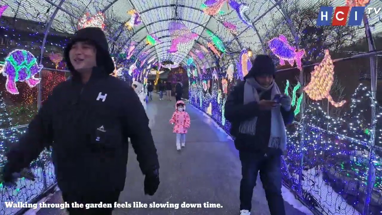 Together Beyond Borders | HCI Winter Tour South Korea | Part 2