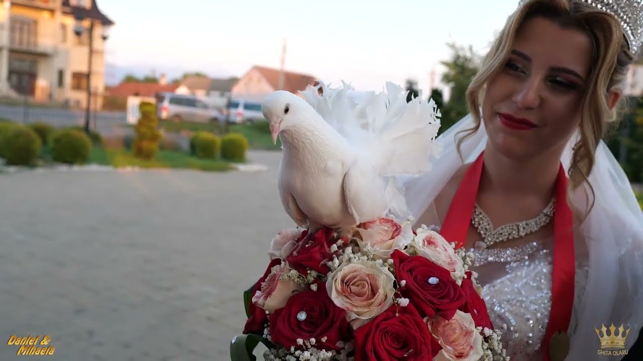 Nunta In fam. Ciprian Paun Boieru din Bocsa - Daniel & Mihaela - Sebi D.L. Timi. si Violeta - vol 2