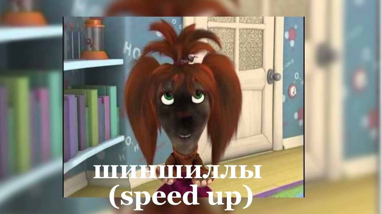 шиншиллы (speed up)