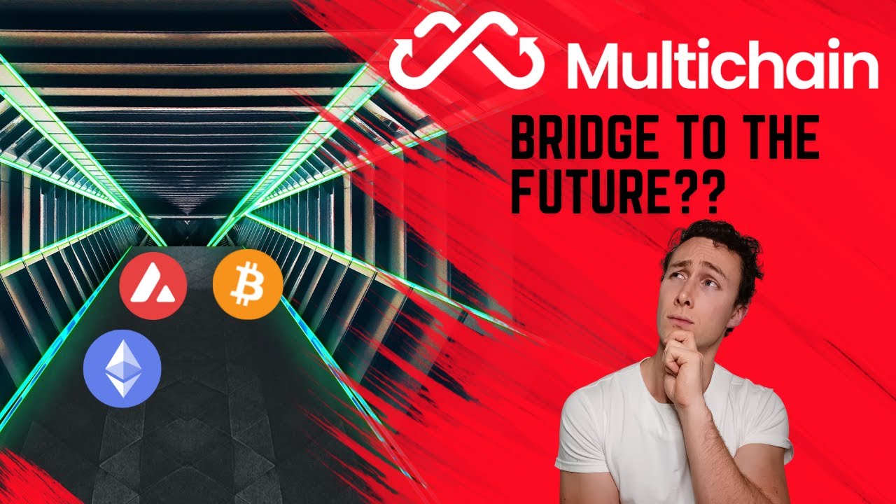 Will Multichain Bridge to the Future of Crypto? MULTI Token Analysis