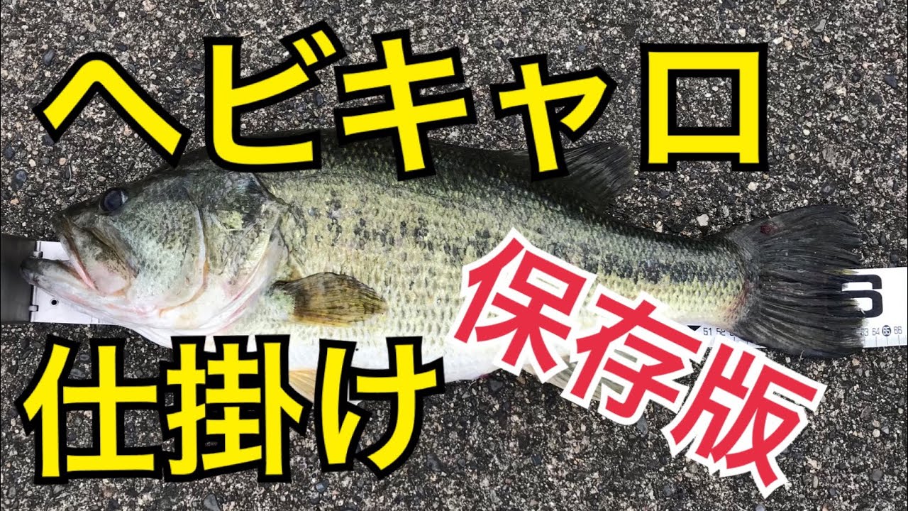 【保存版】【バス釣り】琵琶湖 ヘビキャロ・キャロライナリグ の 仕掛け、作り方、セッティング