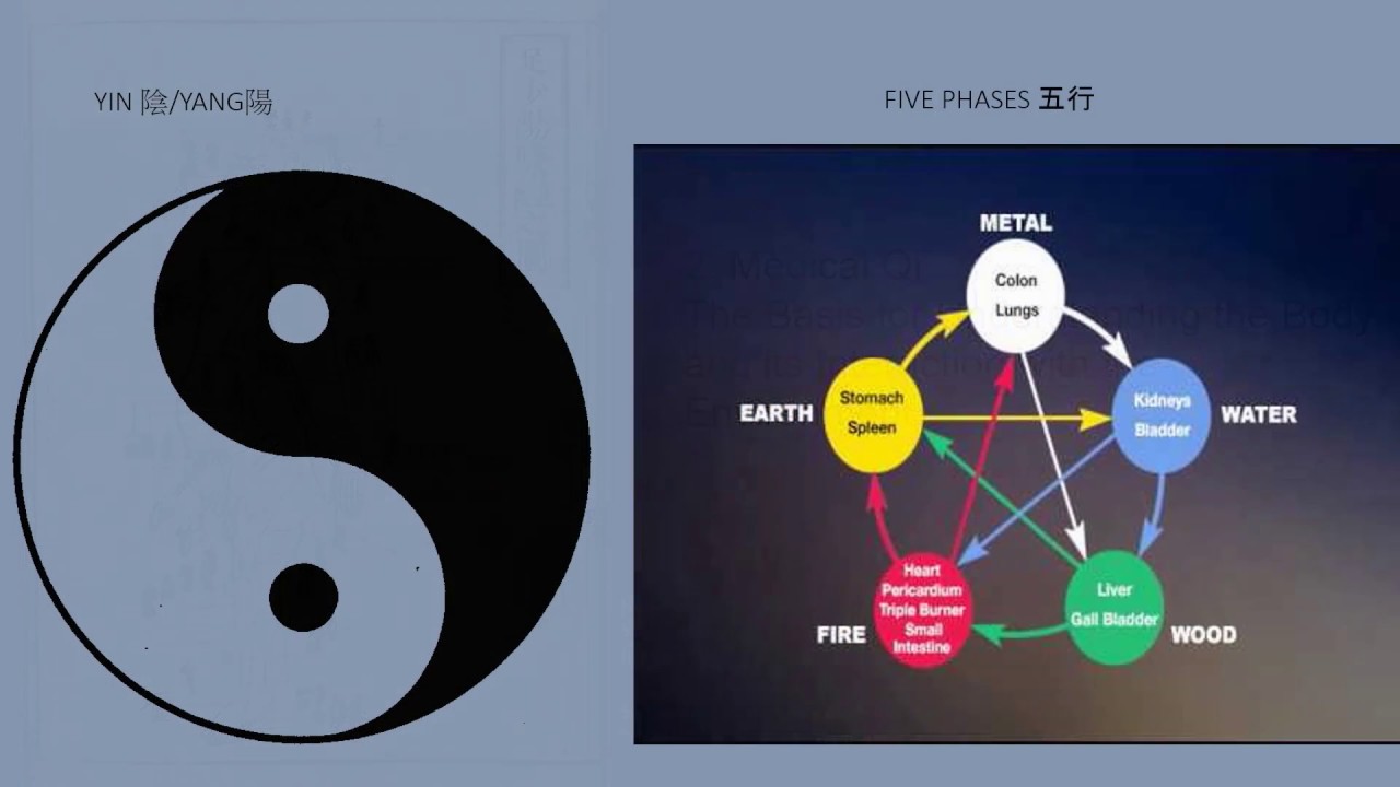 Lim Lecture: Air/Qi Connections: Notes from the History of Science and Medicine