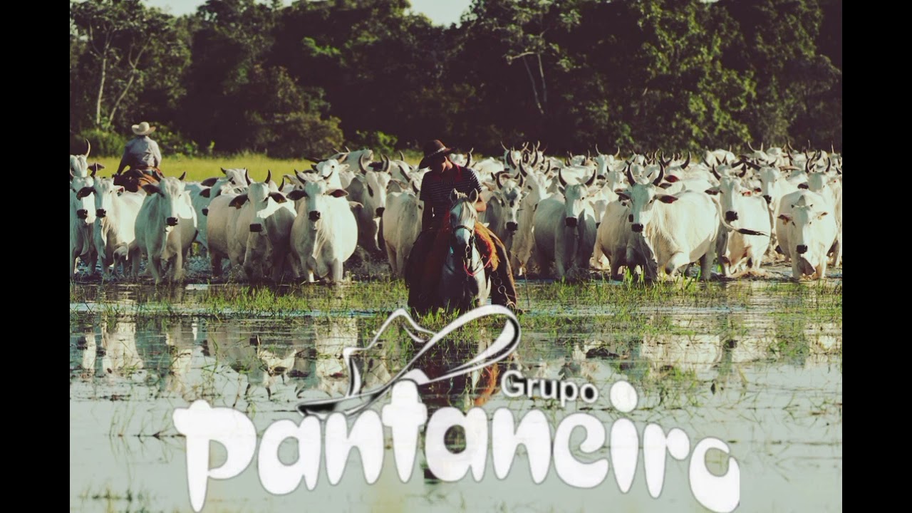 Grupo Pantaneiro - Chamamé Ao Vivo