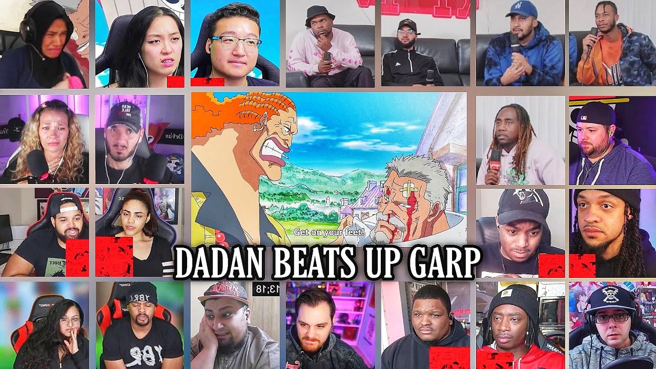 Dadan Beats up Garp Reaction Mashup  | One Piece Episode 505