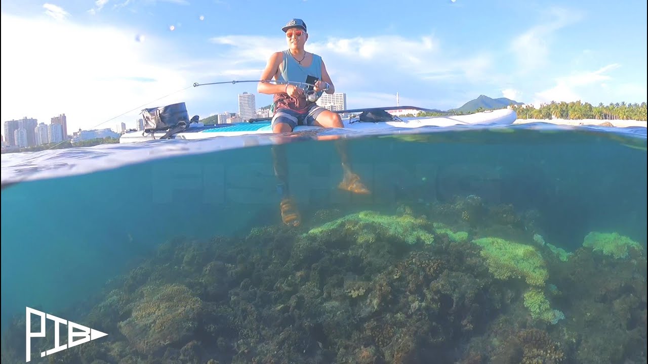 PIB 桨板装备 全球桨板精选测评 桨板冲浪 桨板测评 桨板装备 桨板教学 桨板购买