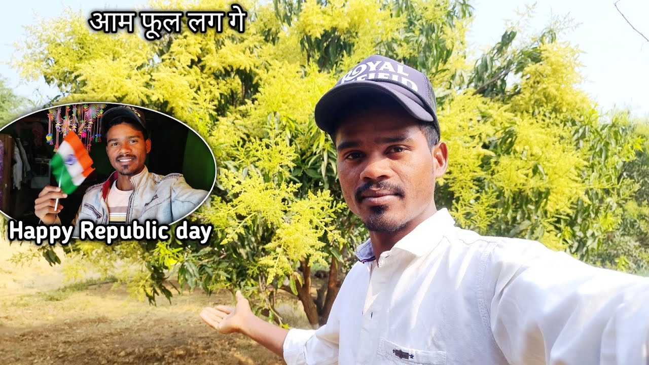 हमर आम 🥭🥭 फुल (मऊर) लग गे संगवारी 😍