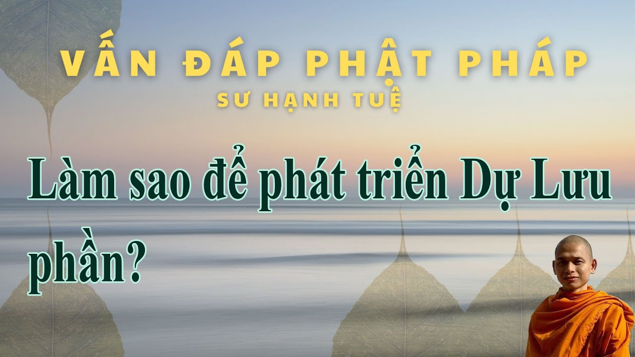 1842. Làm sao để phát triển Dự Lưu phần? Vấn đáp sư Hạnh Tuệ