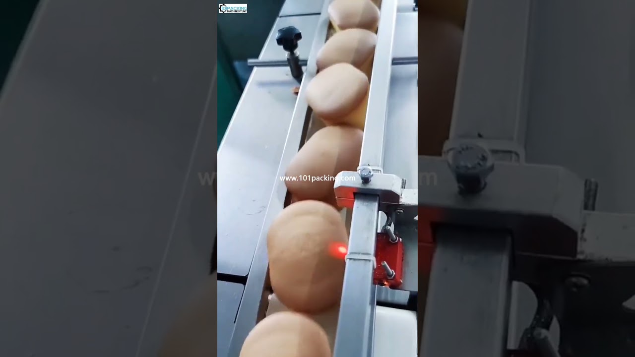Multifunctional baked food bag packaging machine bread packing line