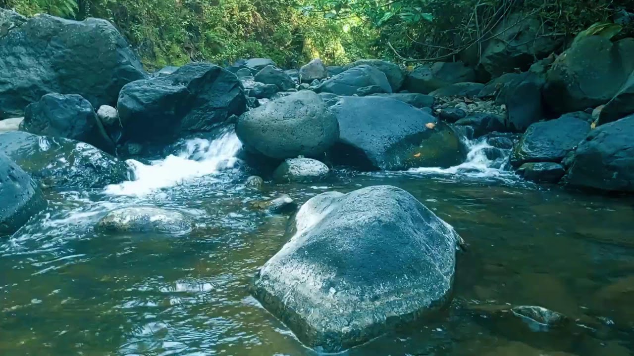 Sleep Stream | Clear River Ambience with No Music for Clean and Natural Sleep