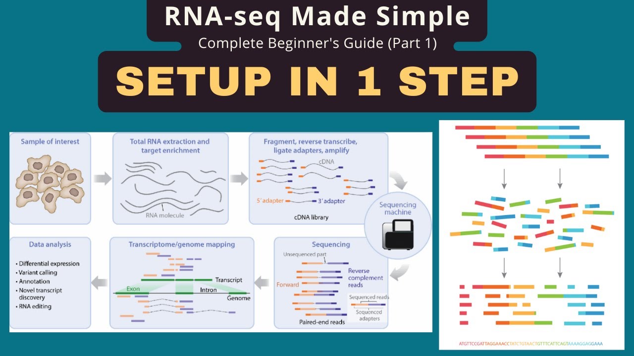Setup RNA-seq Analysis Environment in 10 Minutes (Part 1)