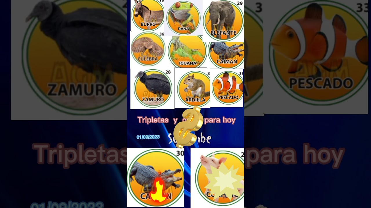 datos y tripletas para la granja millonaria