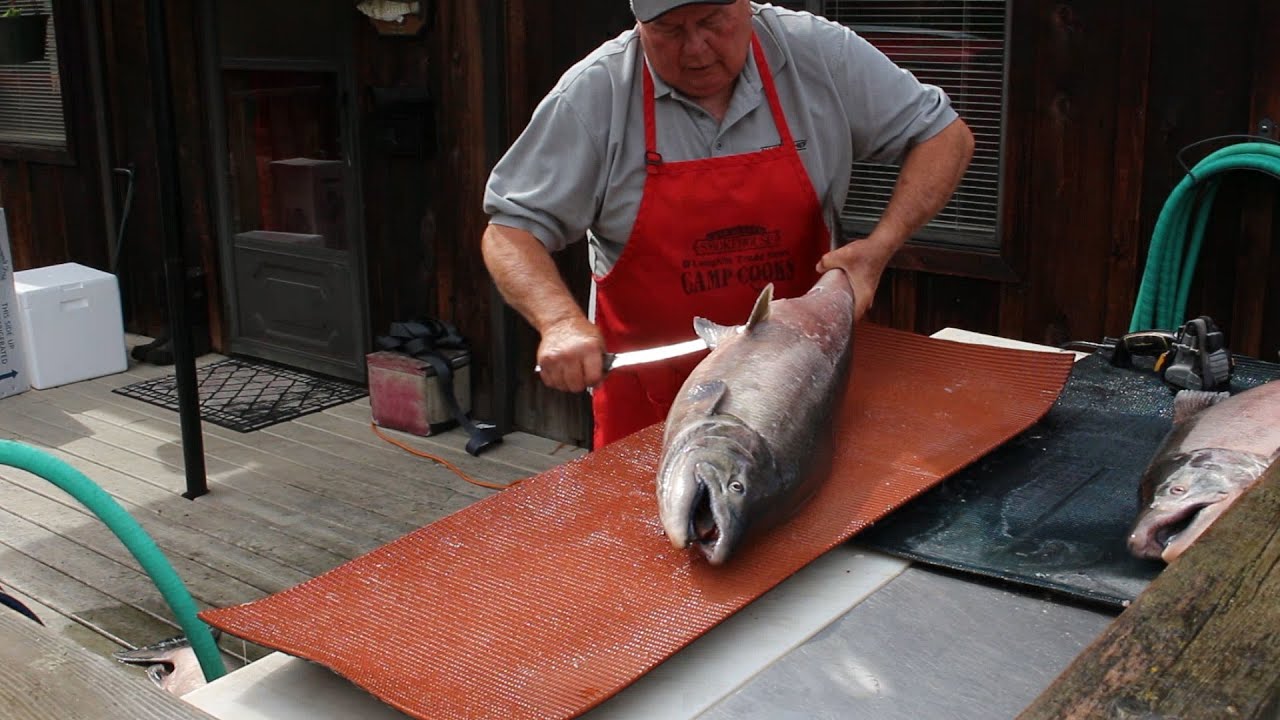 How to Fillet a Big Salmon and Prepare it for Smoked Salmon Recipe