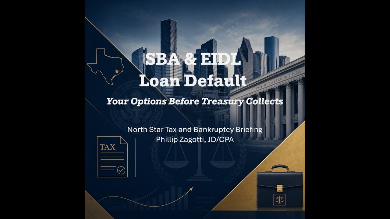 SBA & EIDL Loan Default: Your Options Before Treasury Collects | North Star Legal Briefing