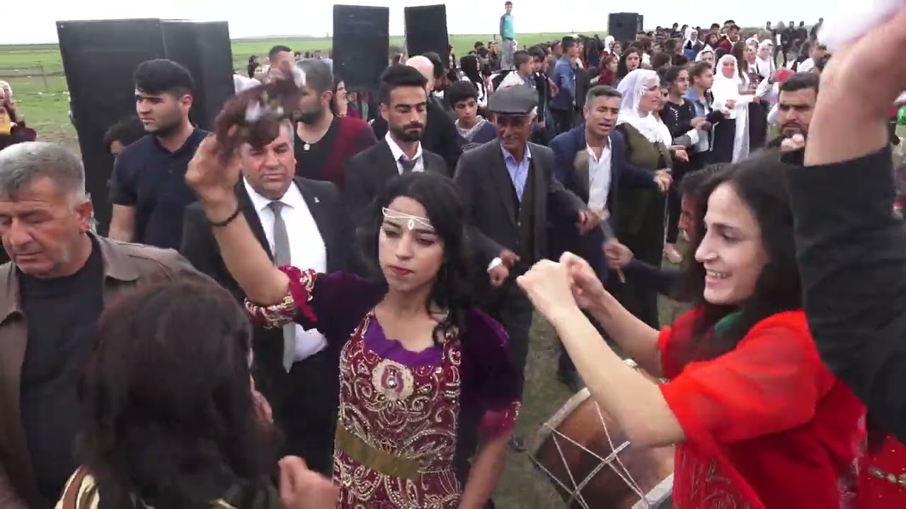 Veli SALCAN Tayyan Aşireti ( Hacı Soran Oğulları ) Düğünü - Part 3 Bedru ( Çiftlik ) Köyü SİLOPİ