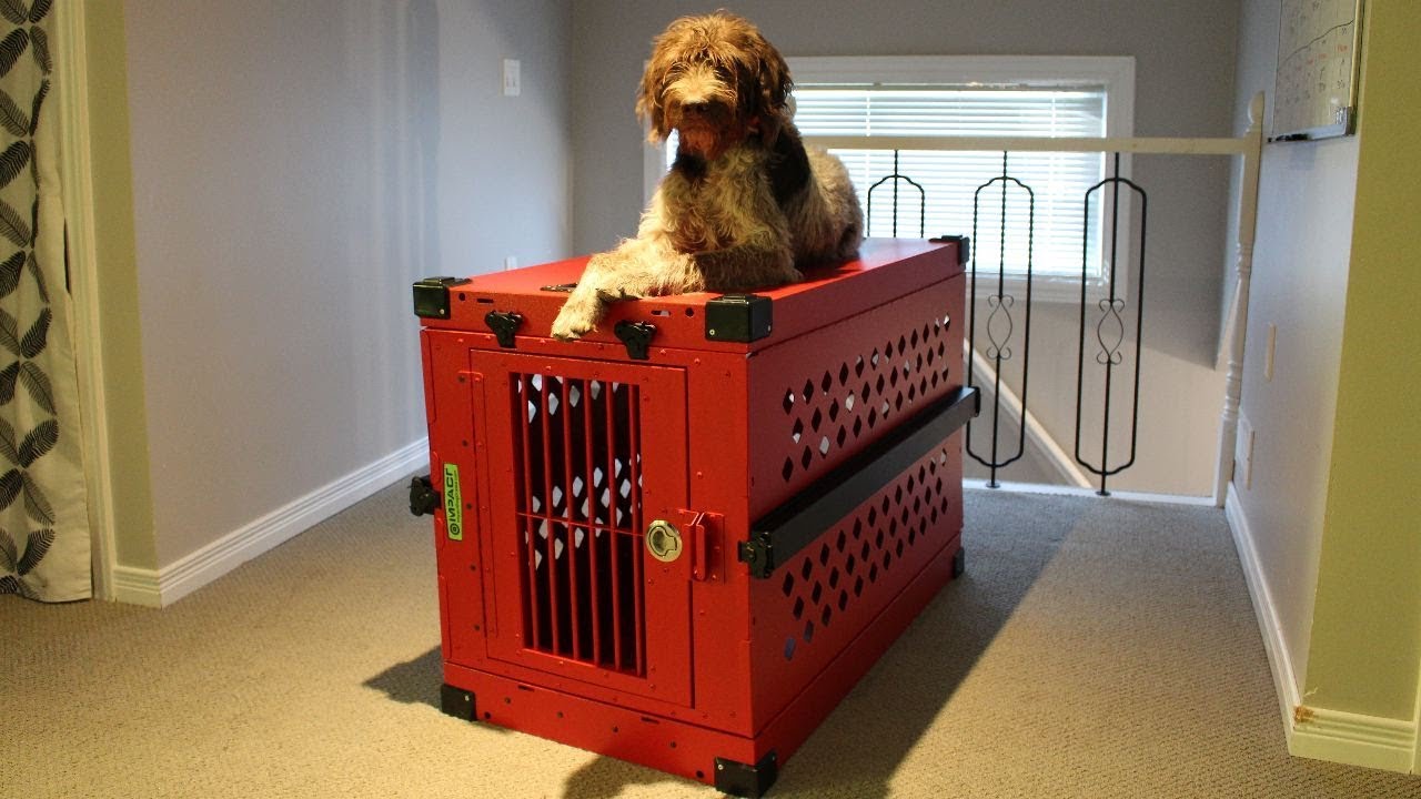 Impact Dog Crate Review