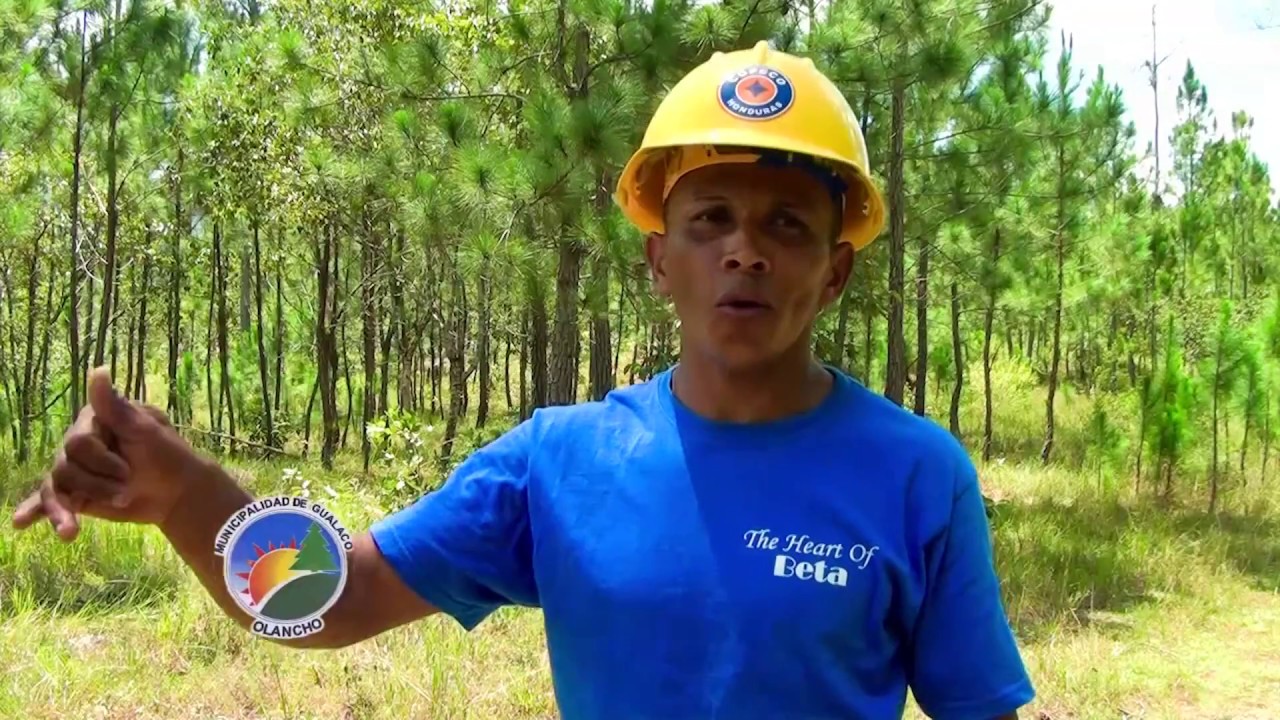 GUALACO DOCUMENTAL OFICIAL