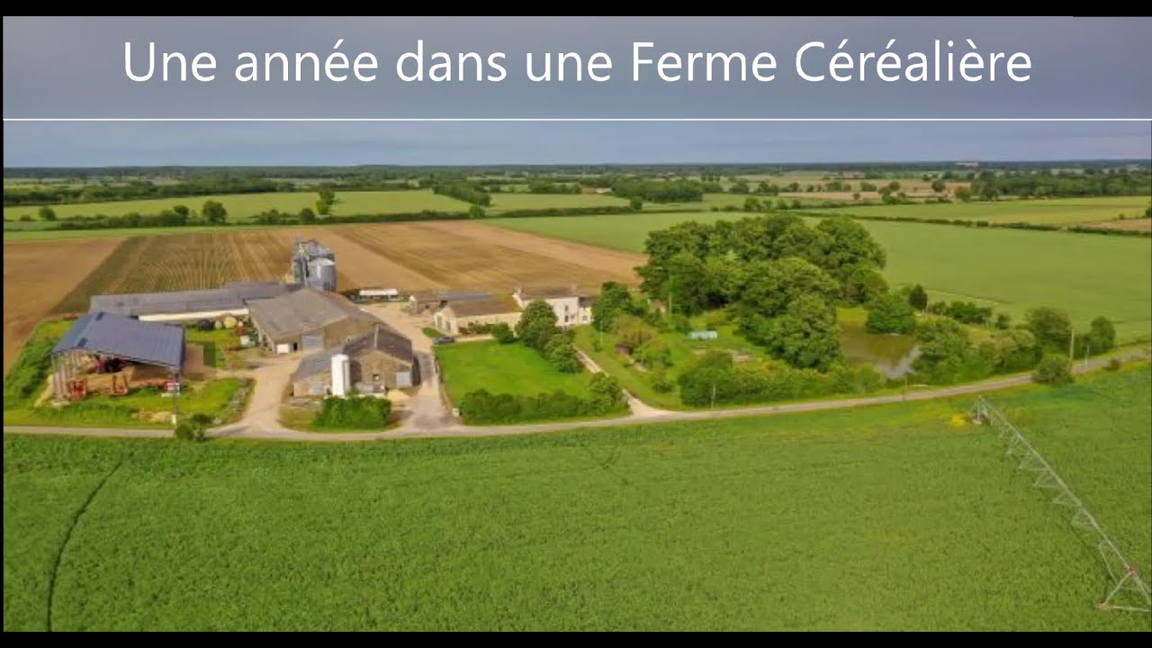 🤠Une année complète dans une ferme céréalière 🚜/2021